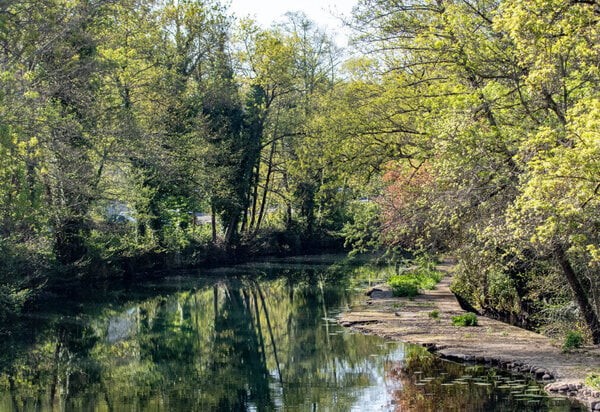 arrêtés de restriction d'eau
