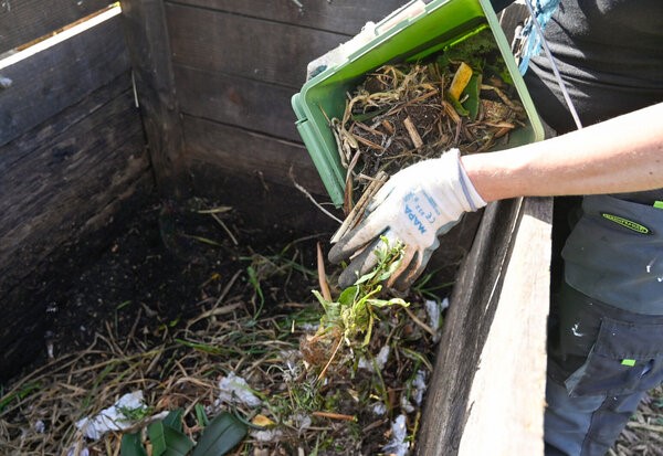article distribution gratuite des composteurs de jardin